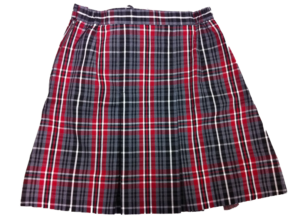 CTHS Junior Winter Skirt_InPixio